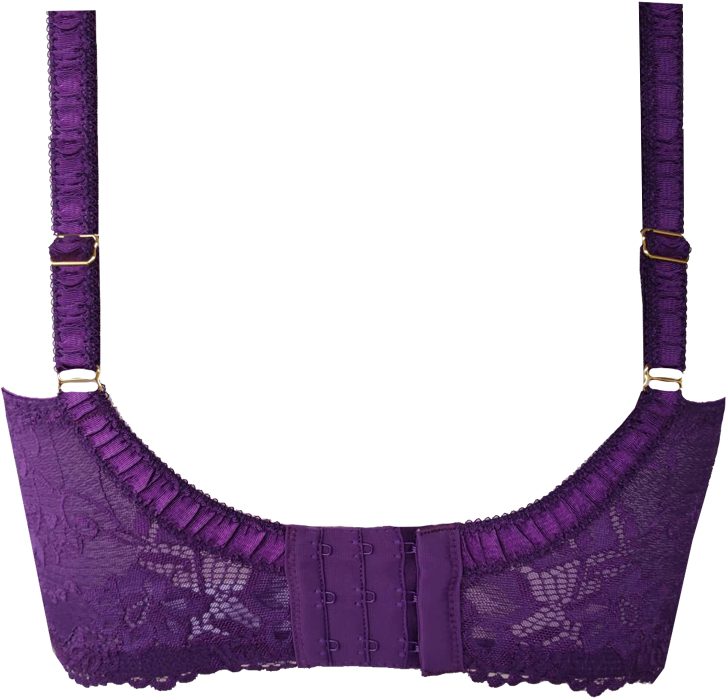 Support Serena Lace Bra Crown Jewel Brad04 2221crownjewel - Lingerie (1200x1110), Png Download