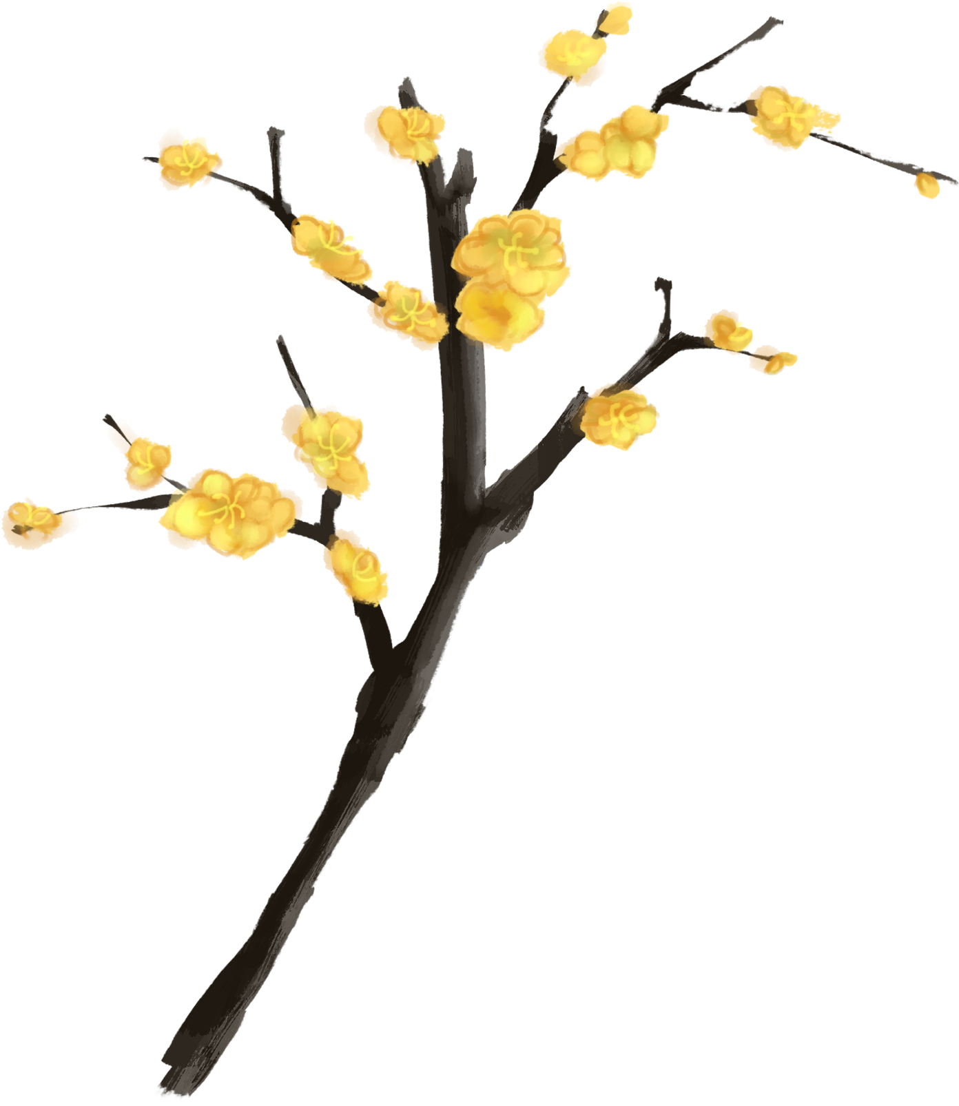 Ink Plum Winter Moon Hand Painted Yellow Branches Png - Twig (2000x2000), Png Download