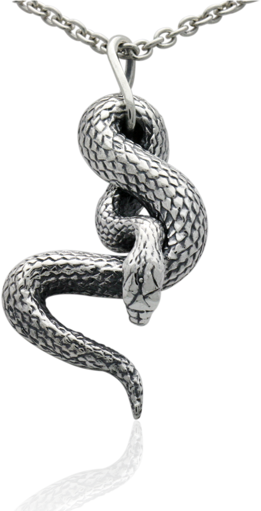 Jewellery - Jewellery Snake (1000x1000), Png Download