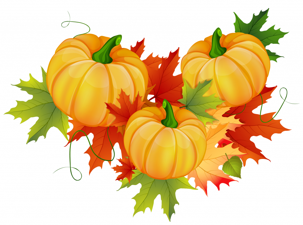 Decorative Clipart Thanksgiving - Fall Pumpkin Patch Clipart (1024x760), Png Download