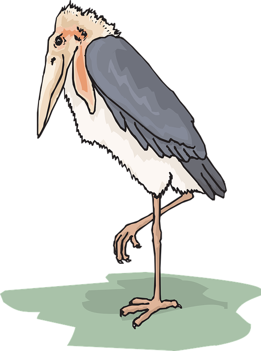 Stork Clipart Wings - Marabou Clipart (536x720), Png Download