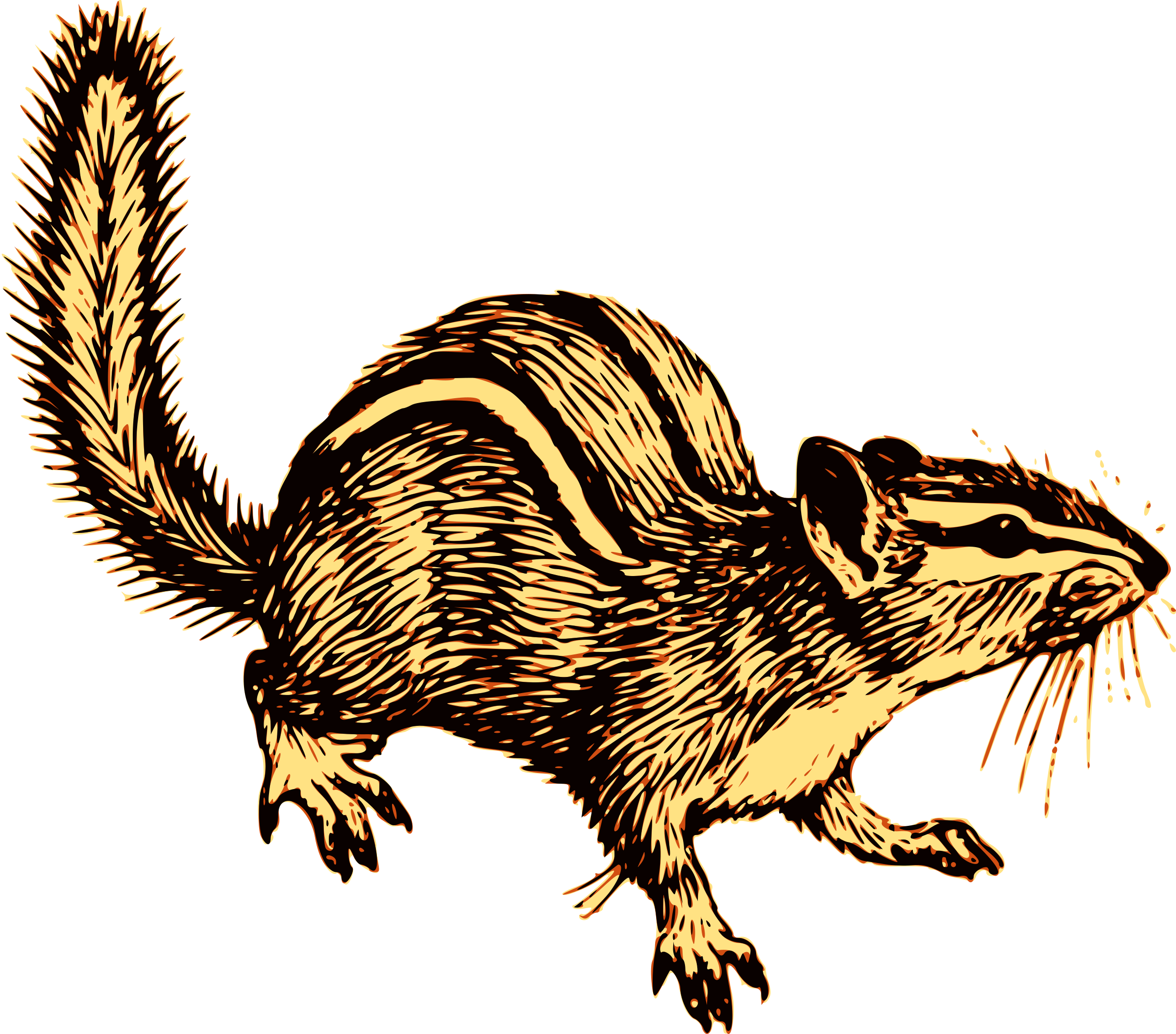 Big Image - Chipmunk Line Art (2400x2111), Png Download