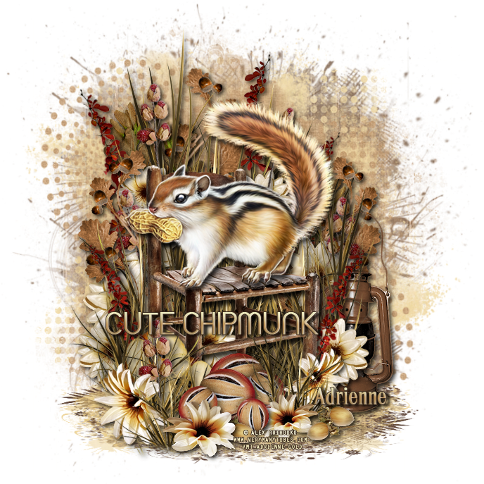 Chipmunk/autumns End - Eastern Chipmunk (700x700), Png Download