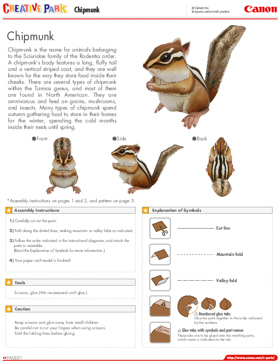 Pdf - Shrub Frog (595x842), Png Download