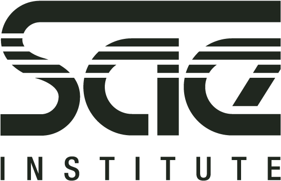 Sordo - - Sae Institute Logo Png (792x612), Png Download