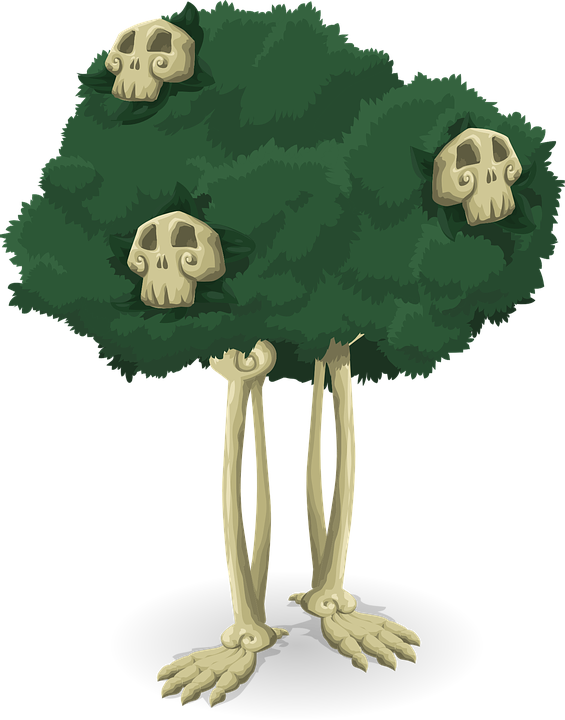 Tree, Skeleton, Bones, Halloween, Scary, Spooky, Skulls - Png 2 Trees Cartoon (565x720), Png Download