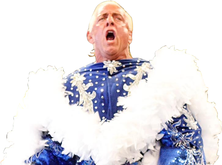 Ric Flair 1980s, Ric Flair Wrestling, Jeff Hardy, Ric - Senior Citizen (731x540), Png Download