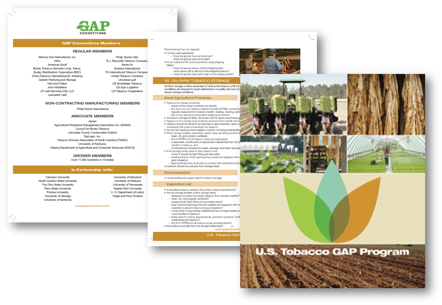 Tobacco Gap Binder - Flyer (1555x1077), Png Download