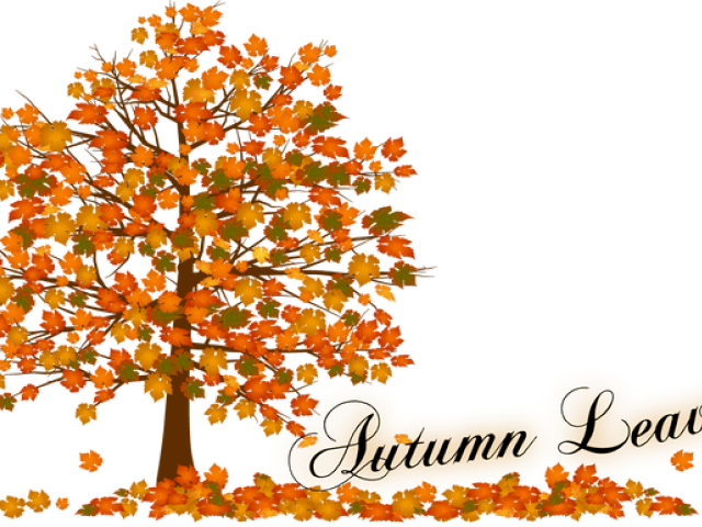 Autumn Clipart Autumn Tree - Fall Leaves Clip Art (640x480), Png Download