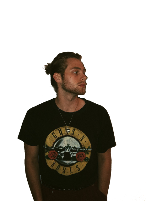 Luke Hemmings Man Bun (480x640), Png Download