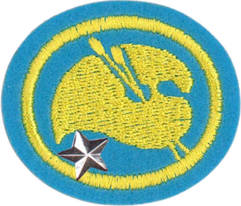Painting Advanced - Emblem (781x668), Png Download