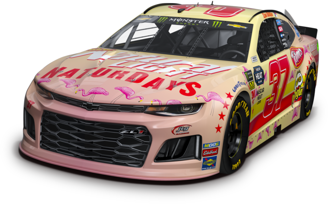 Pinterest - Natty Light Pink Lemonade (768x452), Png Download