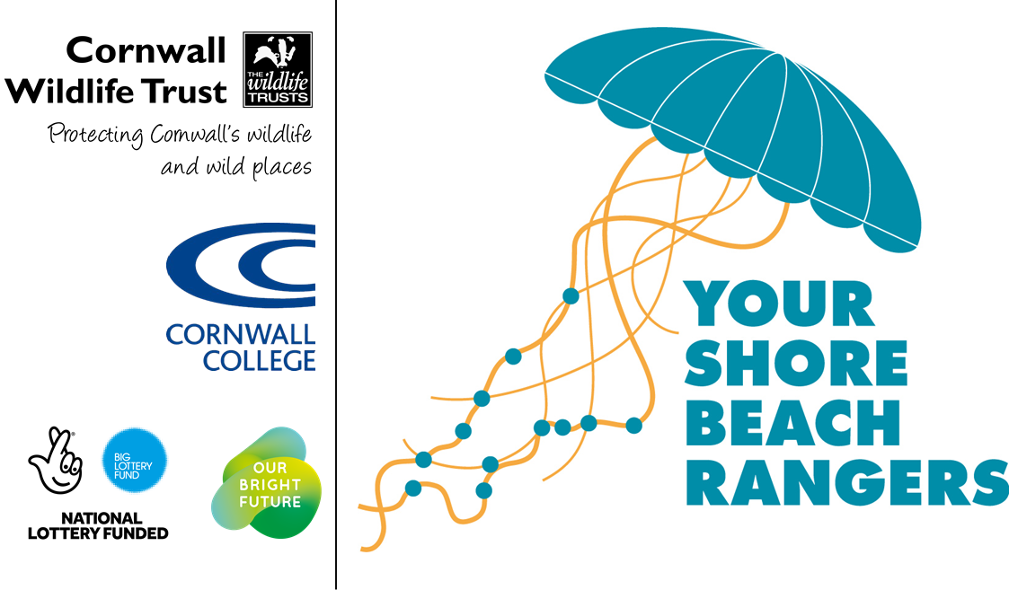 Ysbr Logo With Partners And Funders - Gloucestershire Wildlife Trust (1123x657), Png Download