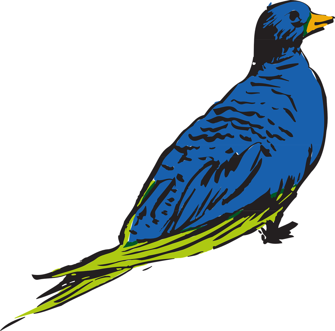 Blue Bird Wings - Feather (1280x1264), Png Download