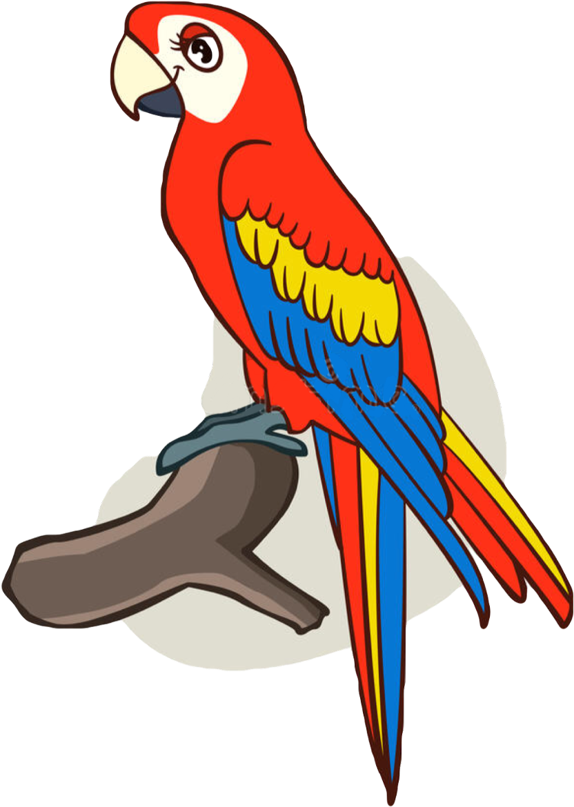 #parrot #kawaii #cute #blue #bird #pirate #yellow #beak - Cartoon Parrot (1024x1280), Png Download