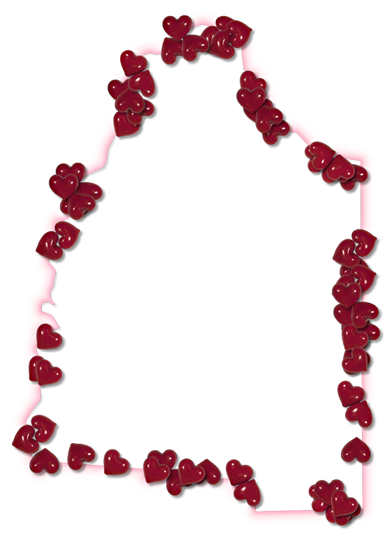 Suitable For The Following Themes - Picture Frame (555x768), Png Download