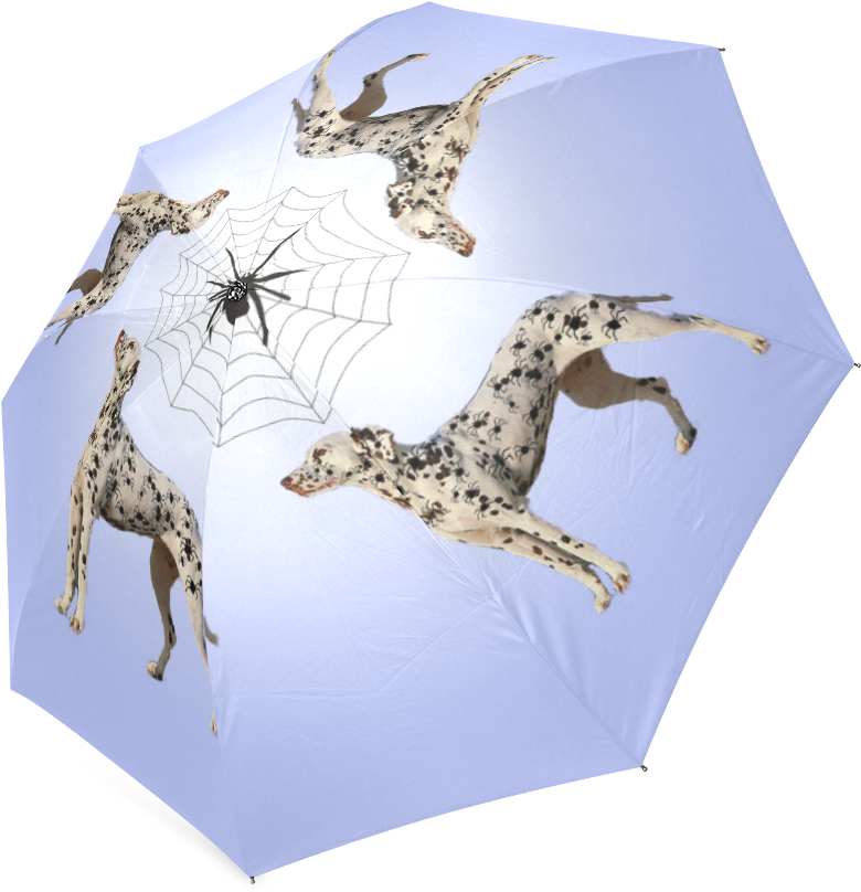 Giraffe (1000x1000), Png Download