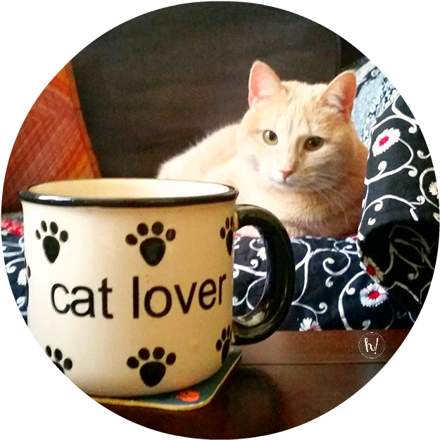 Black Cat Magic - Cat Grabs Treat (631x631), Png Download