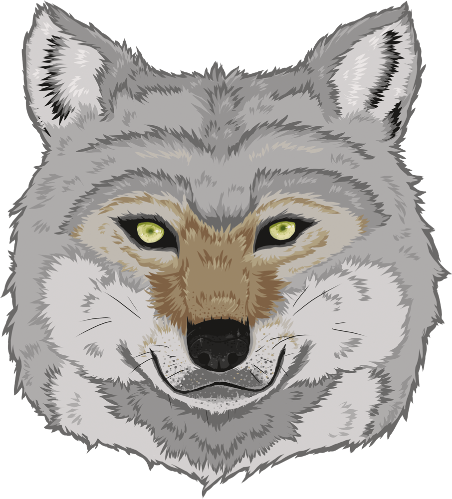 Czechoslovakian Wolfdog (906x1000), Png Download