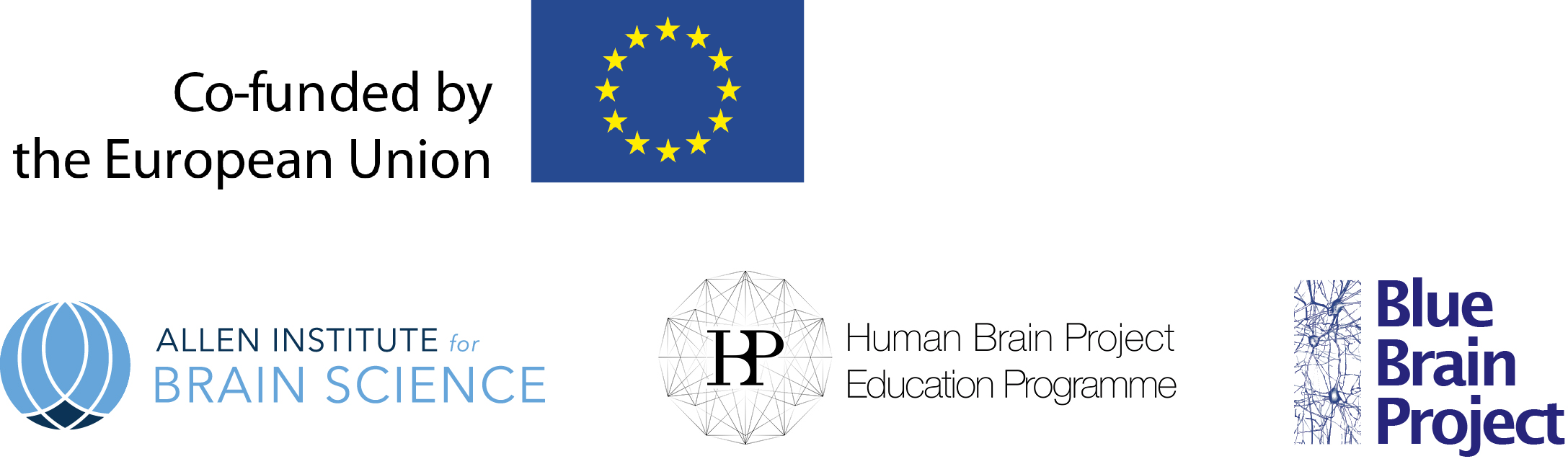 Contributors - Blue Brain Project (2175x644), Png Download