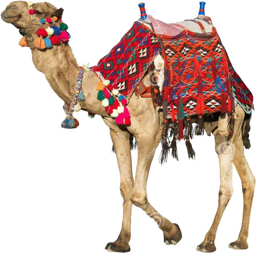 Family Tour Rajasthan - Ancient Arabian Camel Saddle (1024x1002), Png Download