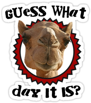 Related - Wednesday Camel (375x360), Png Download