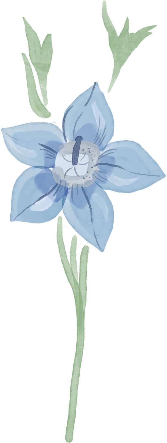 30 Days Blogchallenge Day - Lily (681x1600), Png Download