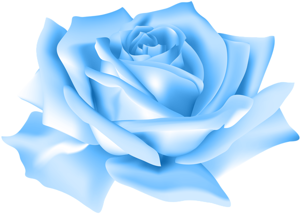 Blue Rose Flower Png Clip Art Image - Blue Rose Flower Png (600x427), Png Download