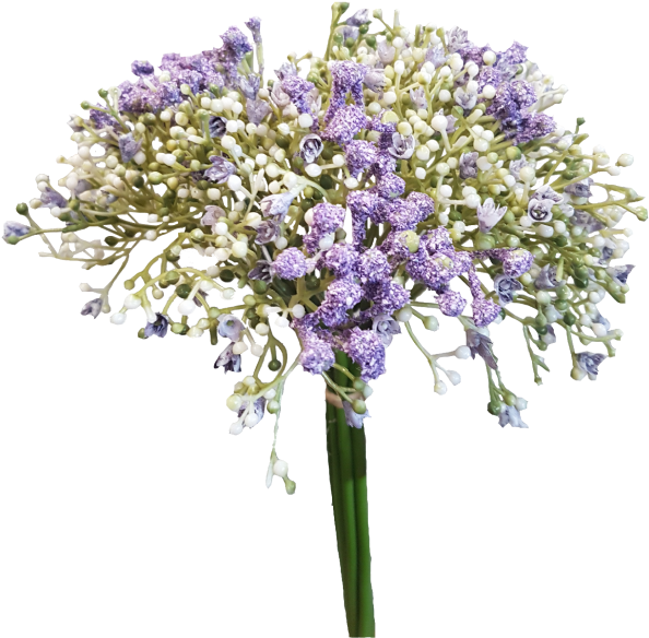 Baby Breath Flower Png - Baby's Breath Flower Png (800x600), Png Download