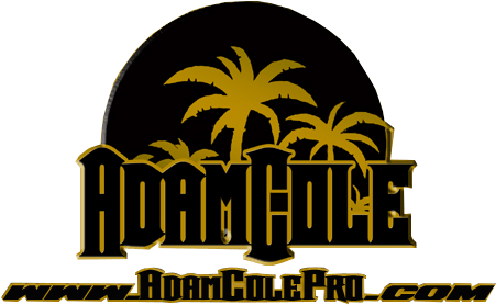 Finally, After Months Of Rumors, Adam Cole Has Made - Adam Cole Logo Png (456x302), Png Download