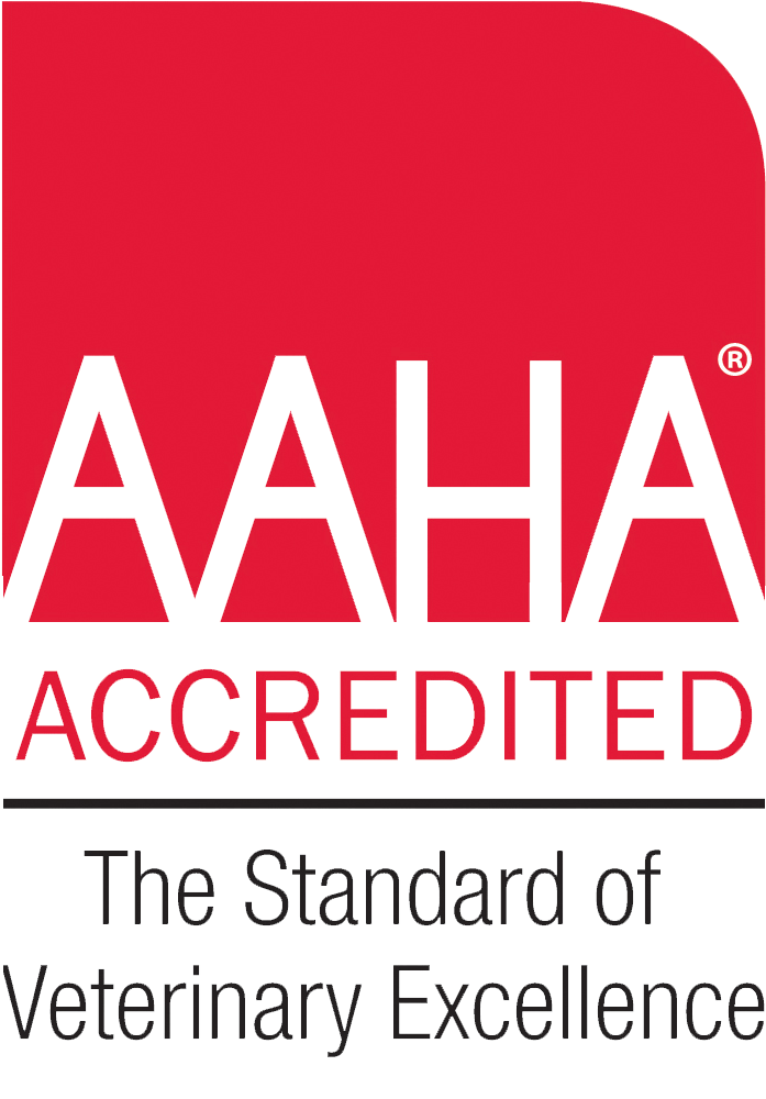 Aaha Accredited - Aaha Accredited Vet (771x1036), Png Download