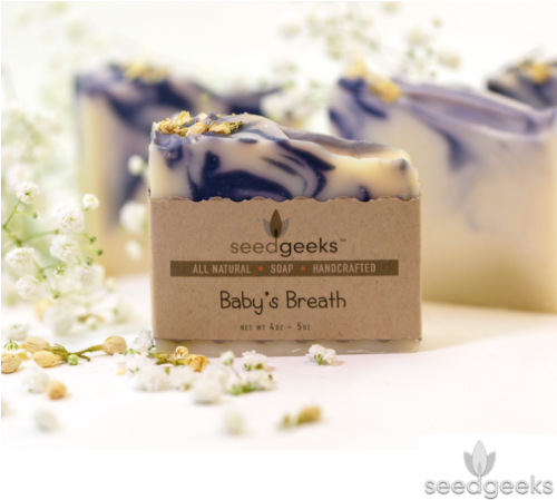 Baby's Breath Soap - Baby's-breath (500x500), Png Download