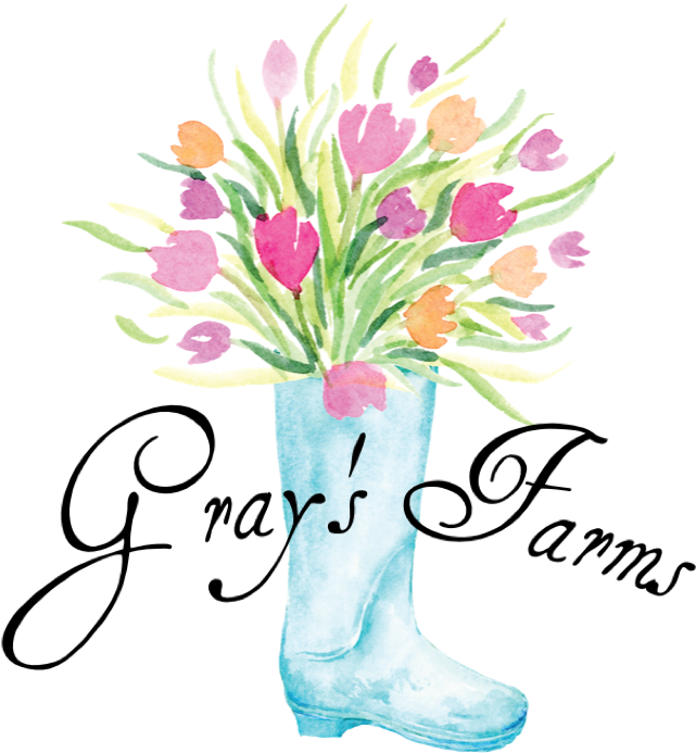 Gray's Farms - Art Print: Lewis' Greatest Adventure, 13x19in. (678x735), Png Download