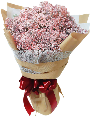 Medium Size Pink Baby Breath - Flower (500x500), Png Download