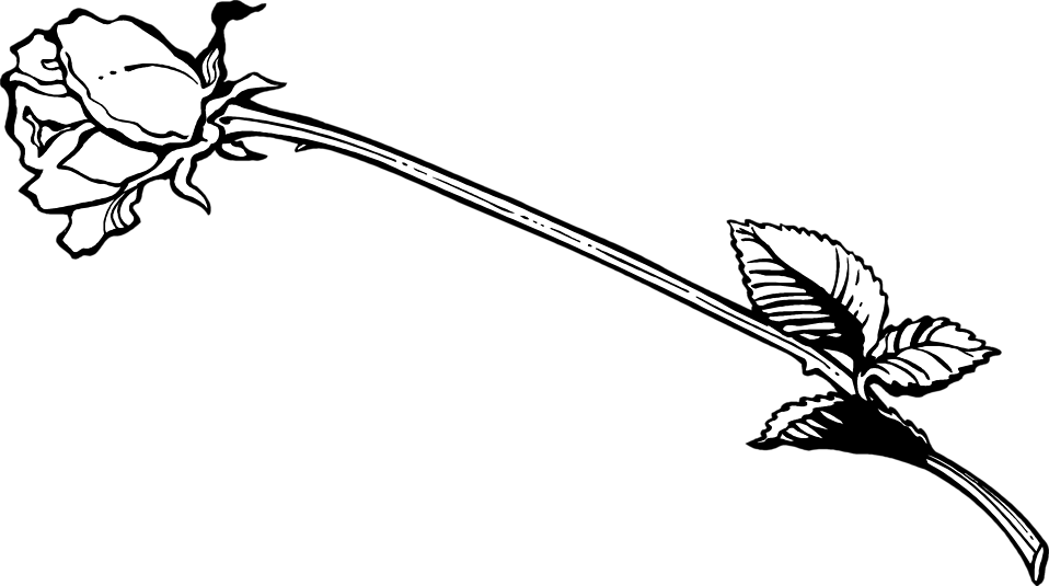 Banner Freeuse Library Free Stock Photo Illustration - Black And White Long Stem Rose (958x535), Png Download