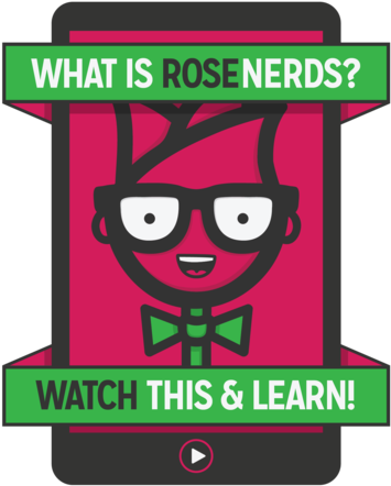 Buy Wholesale Baby's Breath Flowers In Bulk (429x480), Png Download