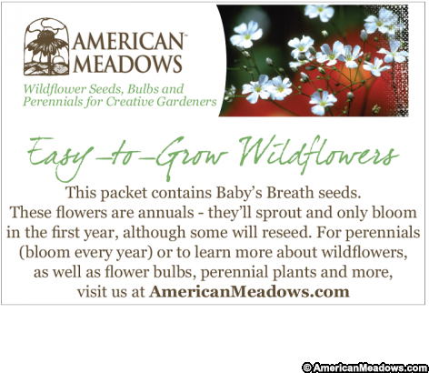 Baby Shower Seed Packet American Meadows - Christmas Eve (500x500), Png Download