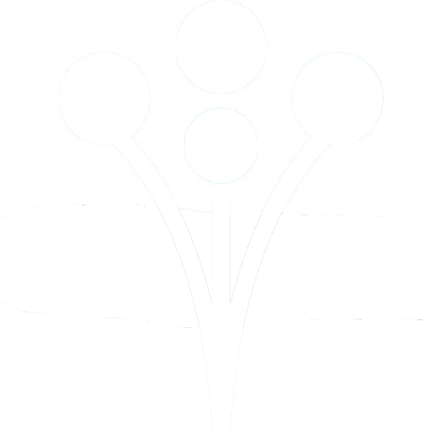 Baby's Breath Backdrop - Weddingwire (624x625), Png Download