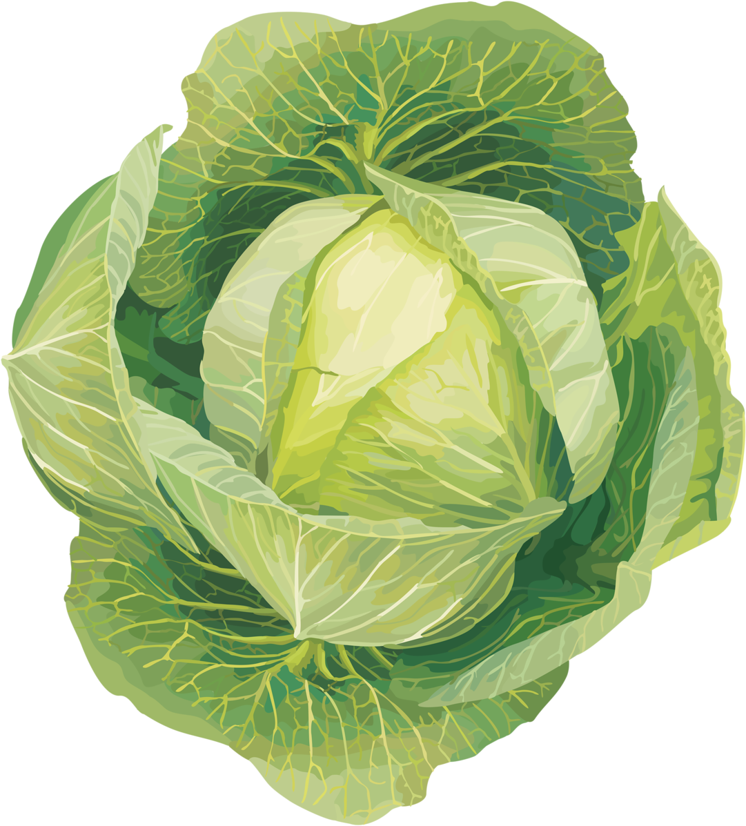 Coloring Book For Children - Vegetables Clip Art (1250x1280), Png Download