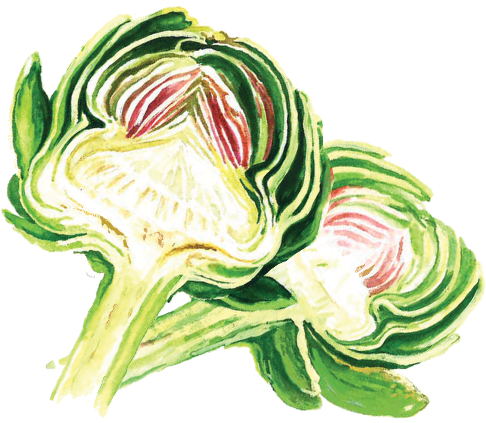 Artichoke (486x423), Png Download