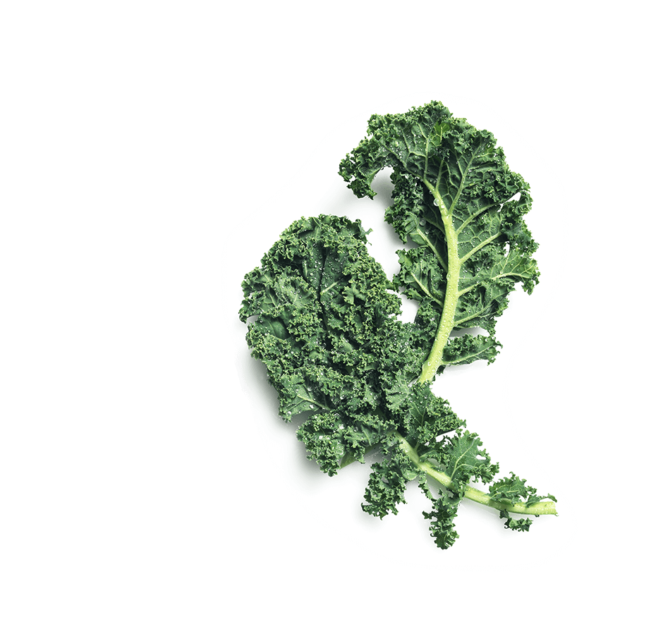 Smoothie Lacinato Kale Cabbage Cauliflower Leaf Vegetable - Broccoli (1425x1050), Png Download