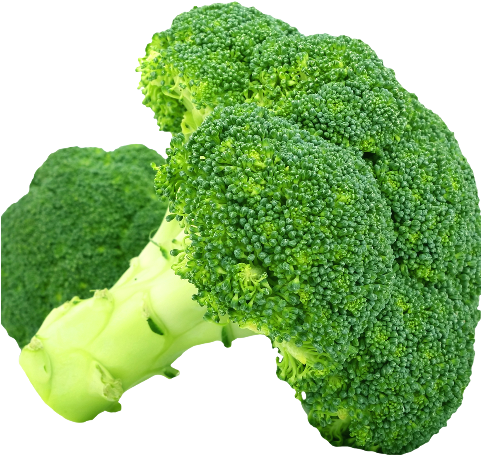 Imagenes Png De Brocoli (480x480), Png Download