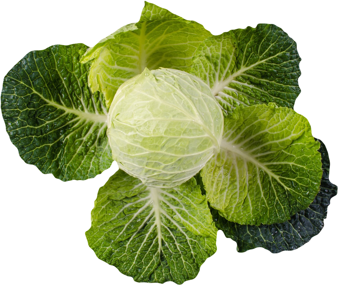 Kohl-kissen Rundes Kissen (1368x1044), Png Download