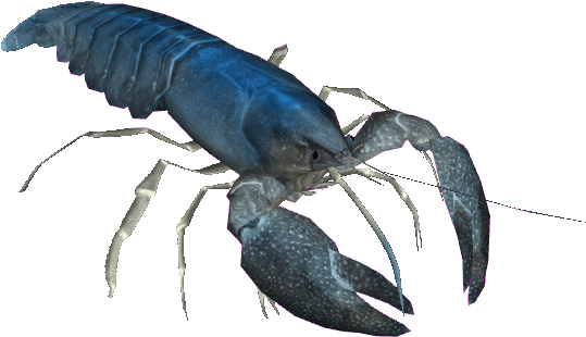 Transparent Lobster Blue - Zoo Tycoon 2 (560x560), Png Download