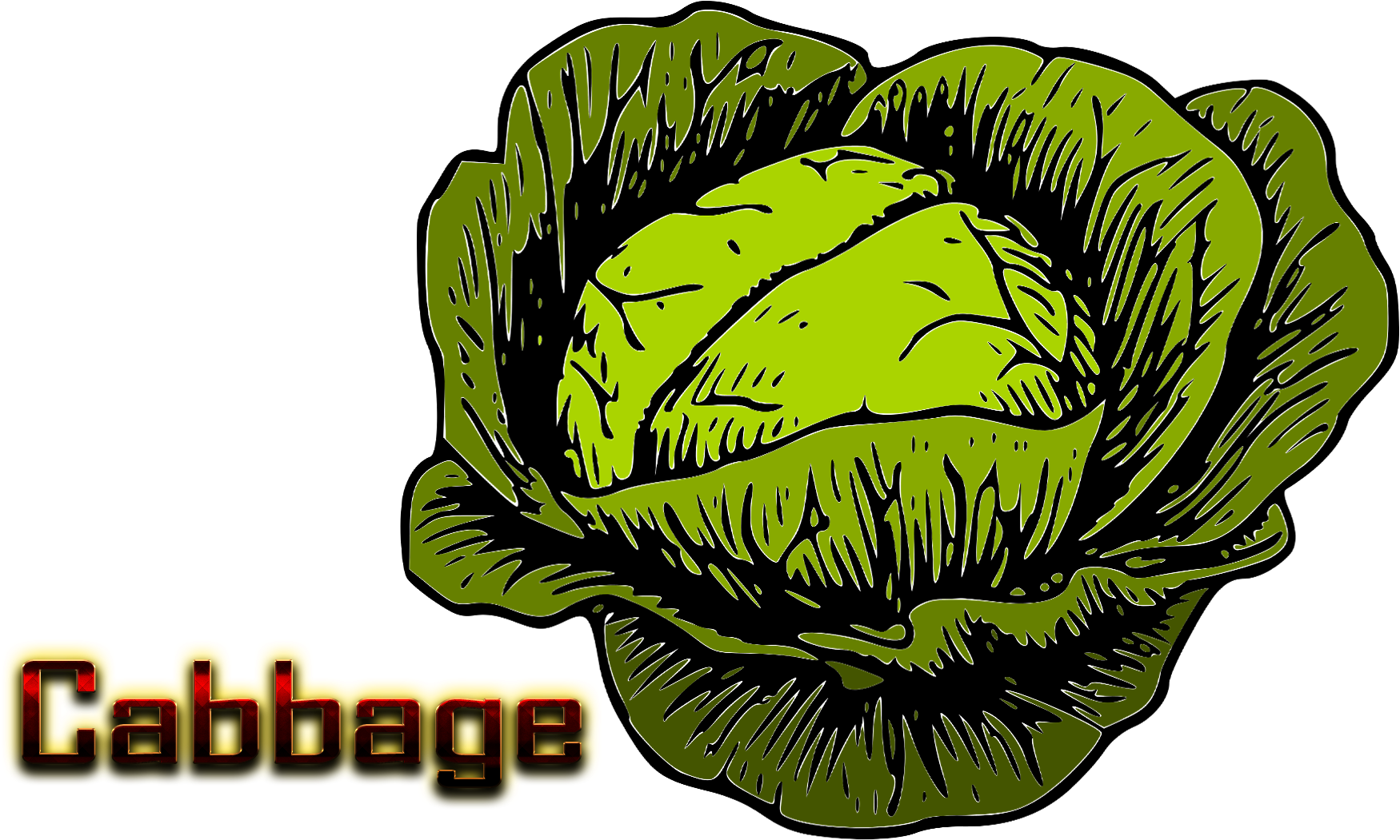 Cabbage Clipart (1920x1200), Png Download
