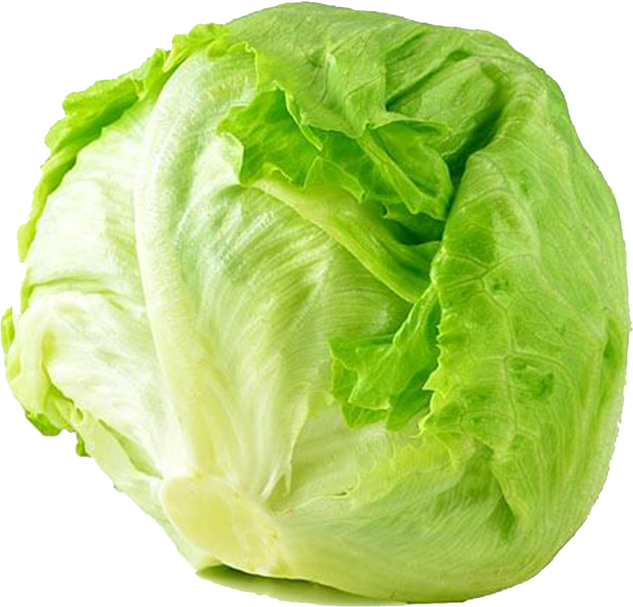 Lettuce Transparent Iceberg - Iceberg Lettuce Png (1000x1000), Png Download