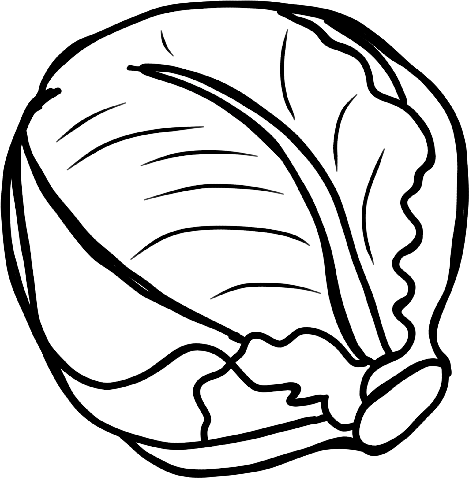 Cabbage Clipart, Vegetables Clip Art, Cabbage Clip - Clipart Black And White Vegetables (1567x1600), Png Download