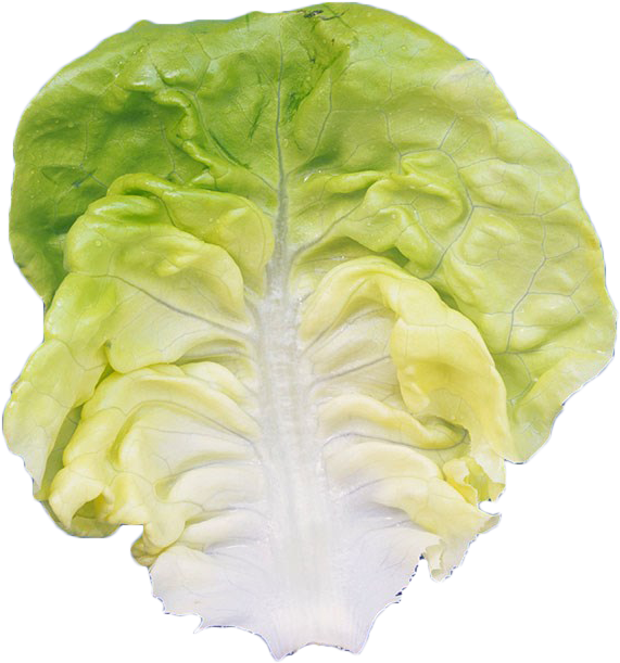 Romaine Lettuce Leaf Vegetable - Vegetable (826x1024), Png Download