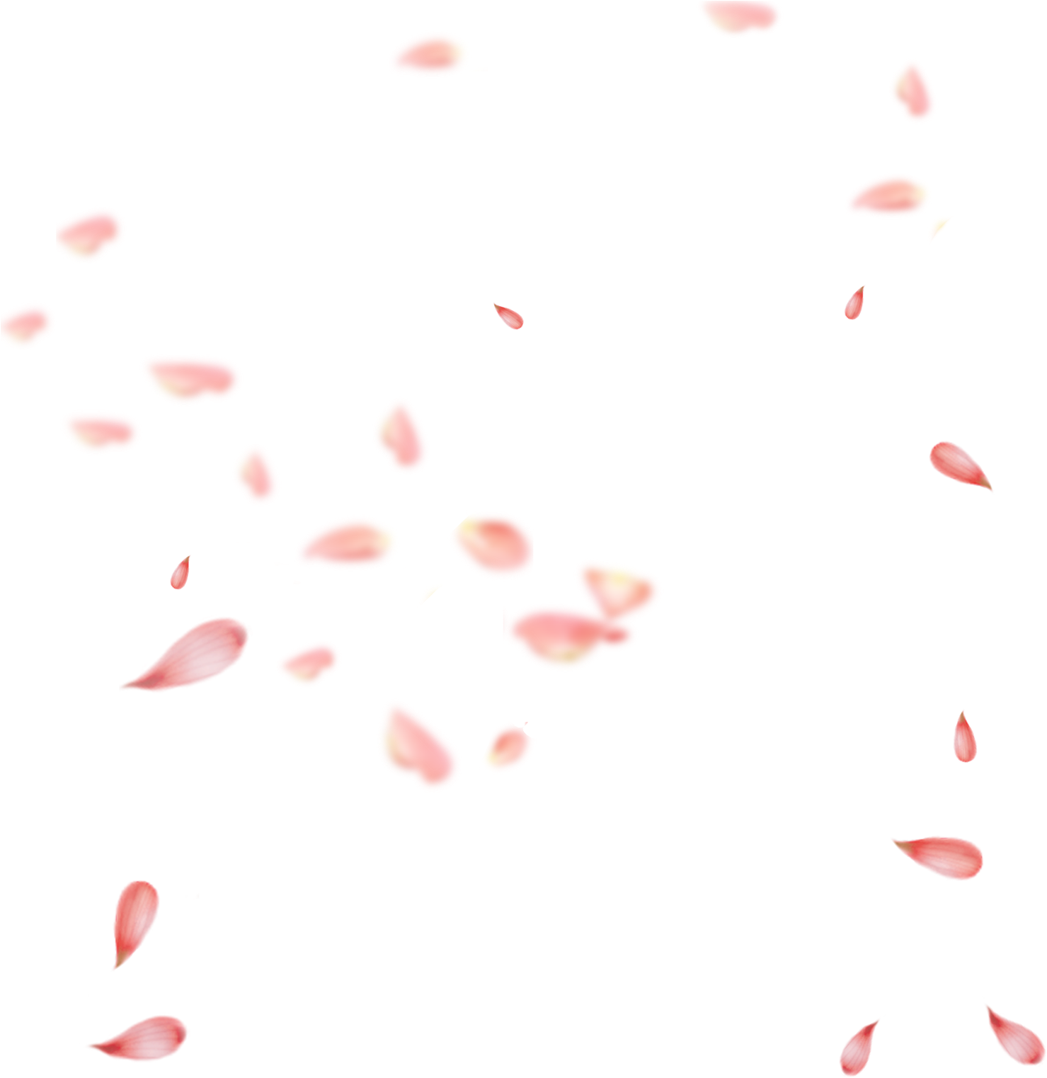 Petal Pink Gratis Transprent - Falling Petals Png Transparent (1920x1571), Png Download