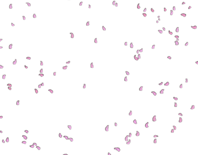 Falling Pink Petals Png Freeuse - Pink Petals Falling Png (640x500), Png Download